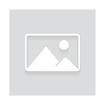 Thick Fox (35mm)